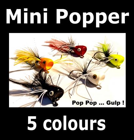 FLY - 5 MINI POPPERS